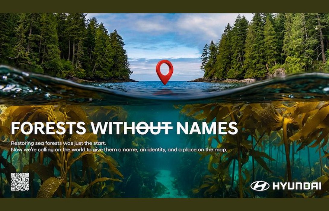 ฮุนได มอเตอร์ เปิดตัวแคมเปญ “Forests Without Names” ตั้งชื่อป่าใต้ทะเลทั่วโลก ดันบทบาทระบบนิเวศทางทะเลรับมือวิกฤตโลกร้อน