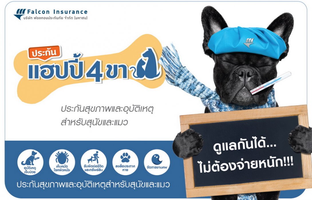 ฟอลคอนประกันภัย ดัน “ประกันแฮปปี้ 4 ขา” เอาใจเจ้าของสัตว์เลี้ยง ชูความคุ้มครองทั้งประกันสุขภาพและอุบัติเหตุสำหรับสุนัขและแมว