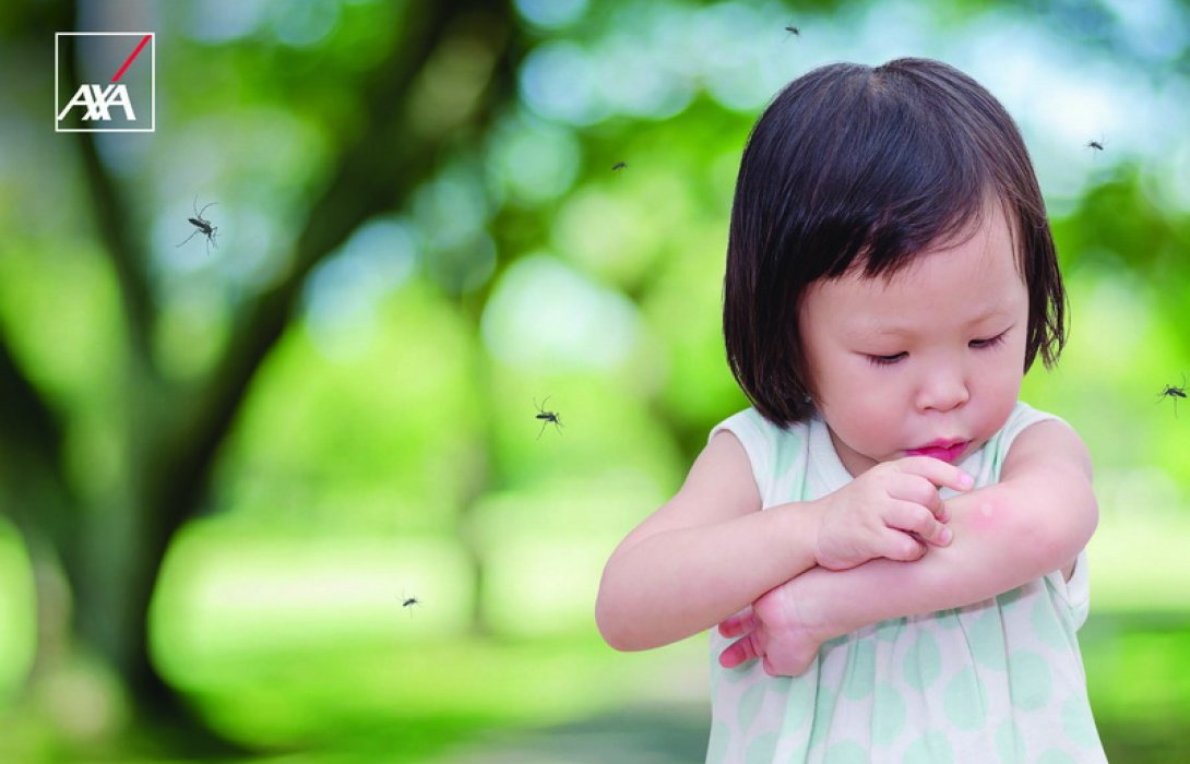 แอกซ่าให้ความคุ้มครองคุณจากโรคไข้เลือดออกและโรคที่มียุงเป็นพาหะ
