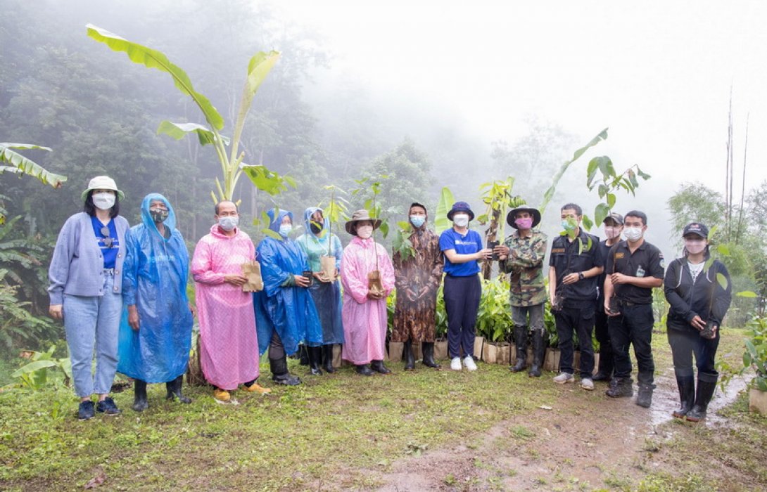 กรุงไทย–แอกซ่า ประกันชีวิต จัดกิจกรรมปลูกป่า ภายใต้กิจกรรม “Green Road Good Life” ณ อุทยานแห่งชาติดอยภูคา จ.น่าน