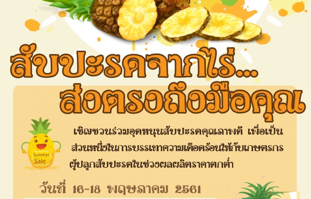 ธ.ก.ส.สนับสนุน สกต.และ SMAEs ช่วยเกษตรกรผู้ปลูกสับปะรด