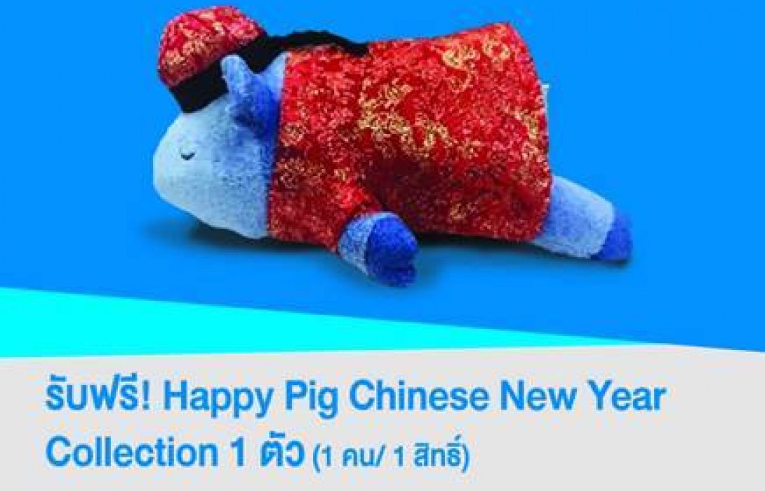 ทีเอ็มบี เอ็กซ์พีเรียนซ์ ฉลองสาขาต้นแบบแนวคิดใหม่รับตรุษจีน รับฟรี Happy Pig Chinese New Year 