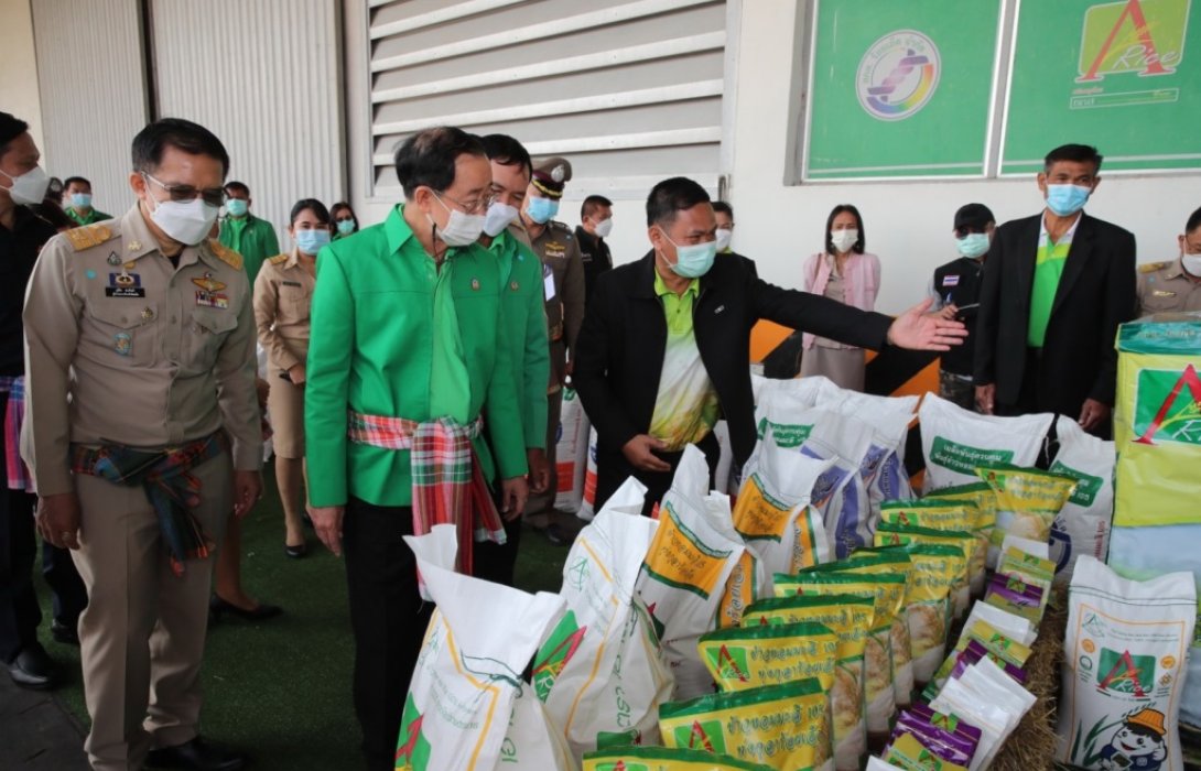 ธ.ก.ส.เร่งโอนเงินประกันรายได้พร้อมเงินค่าบริหารจัดการและพัฒนาคุณภาพผลผลิตเกษตรกรผู้ปลูกข้าว 