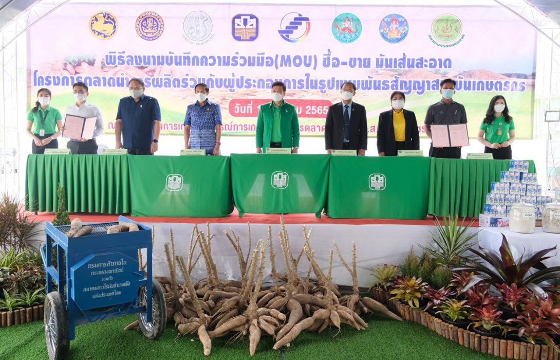 ธ.ก.ส.จับมือกรมส่งเสริมการค้าระหว่างประเทศหนุนสกต.เปิดตลาดมันเส้นไปจีน