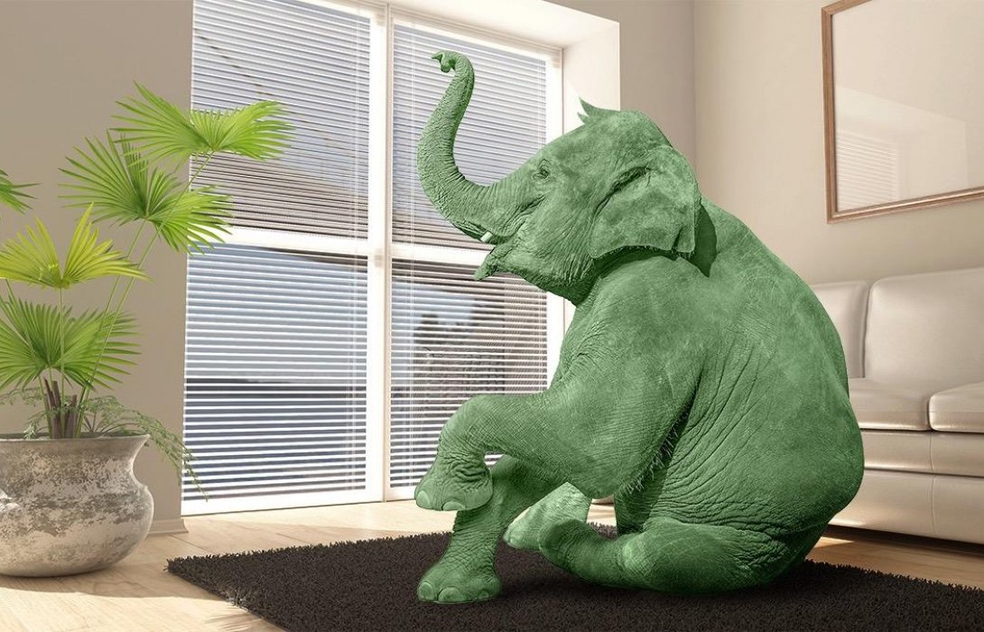 ชี้อุตสากรรมโทรคมนาคมไทยตอนนี้ เปรียบเหมือนสำนวนฝรั่ง “มีช้างอยู่ในห้อง” หรือ “Elephant in the Room” 