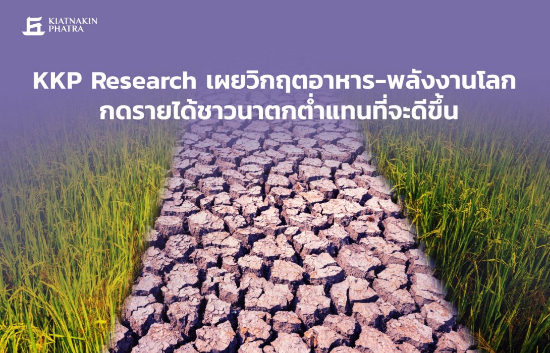 KKP Research เผยวิกฤตอาหาร-พลังงานโลก กดรายได้ชาวนาตกต่ำแทนที่จะดีขึ้น 