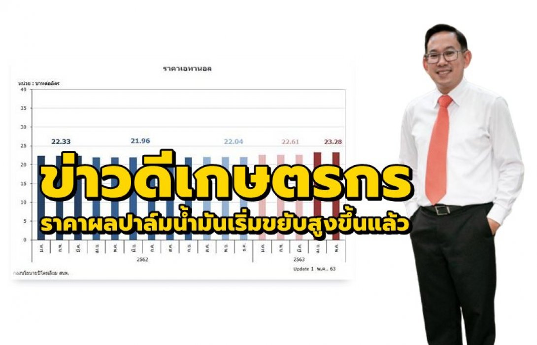  สนพ. ชี้ข่าวดีเกษตรกร ราคาผลปาล์มน้ำมันเริ่มขยับสูงขึ้นแล้ว