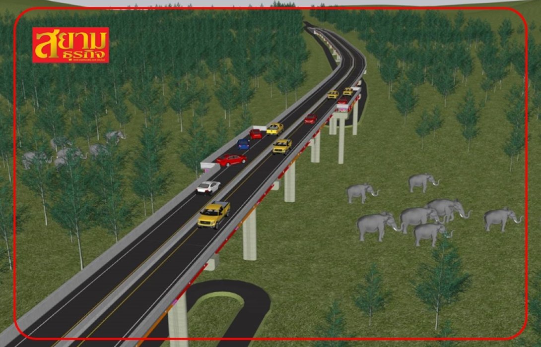 ทช. สร้างสะพานเชื่อมระบบนิเวศน์แห่งแรกในไทย บนถนนสาย รย.4060 ‘ระยอง - จันทบุรี’