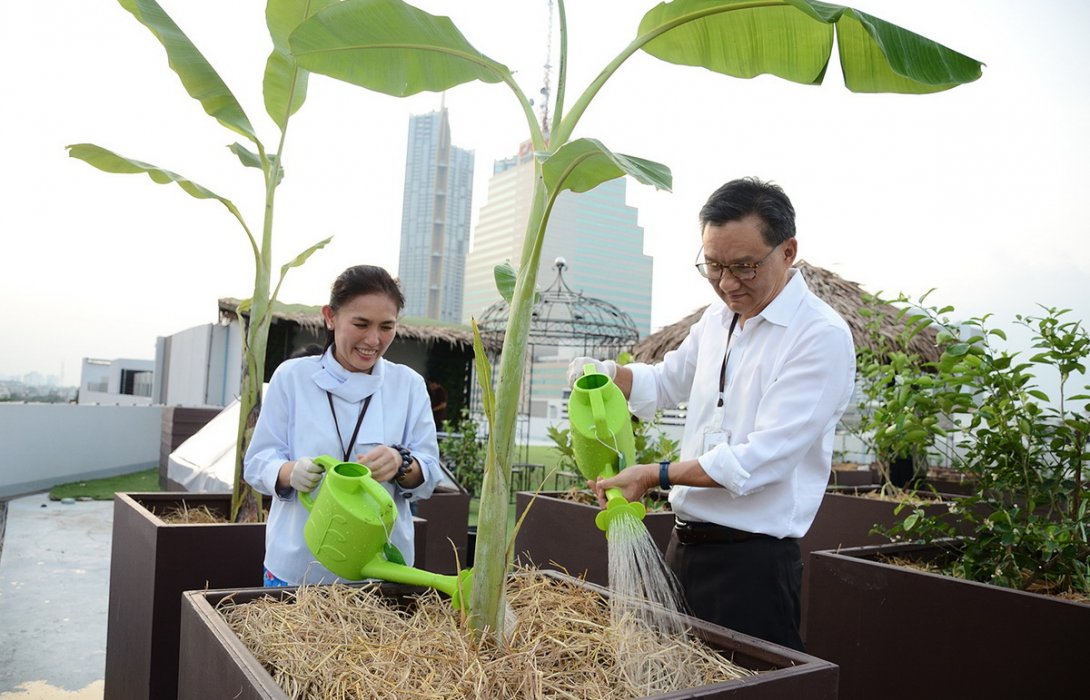 มั่นคงฯ สร้าง Rooftop Organic Garden ชวนพนักงานเพิ่มพื้นที่สีเขียว