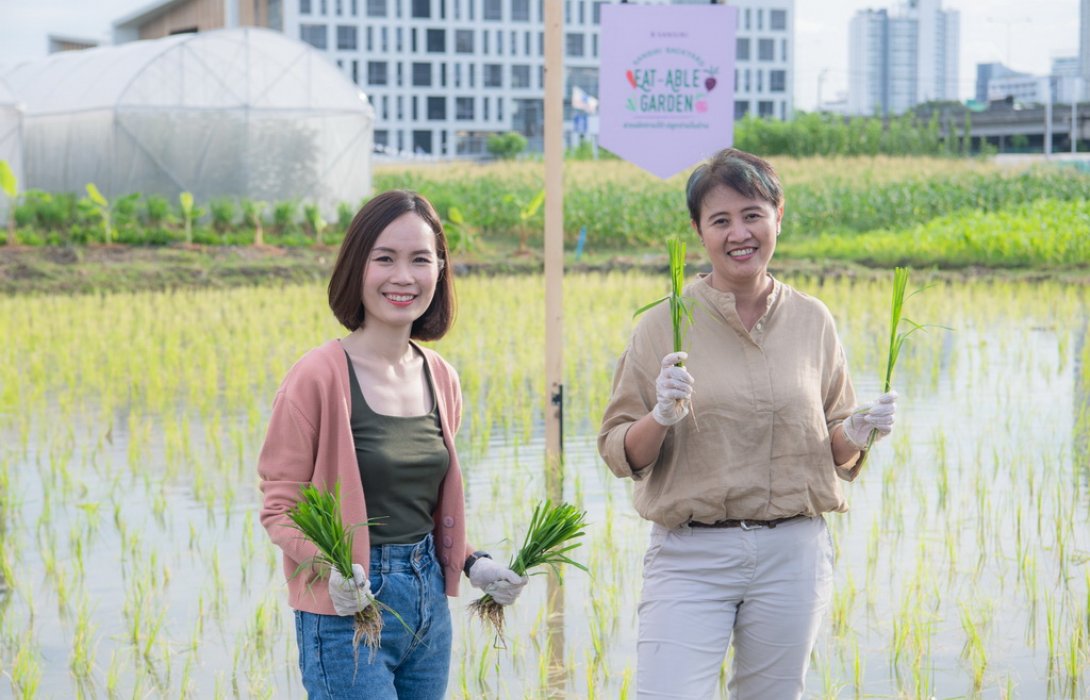 แสนสิริเปิดแนวคิด SANSIRI BACKYARD: EAT-ABLE GARDEN สวนผักทานได้ ปลูกง่ายในบ้าน