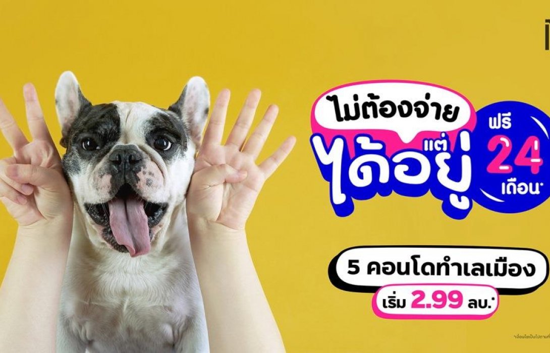 ‘เมเจอร์ ดีเวลลอปเม้นท์’จัดแคมเปญ‘ไม่ต้องจ่าย แต่ได้อยู่ ฟรี 24 เดือนกับ5คอนโดใกล้รถไฟฟ้า 