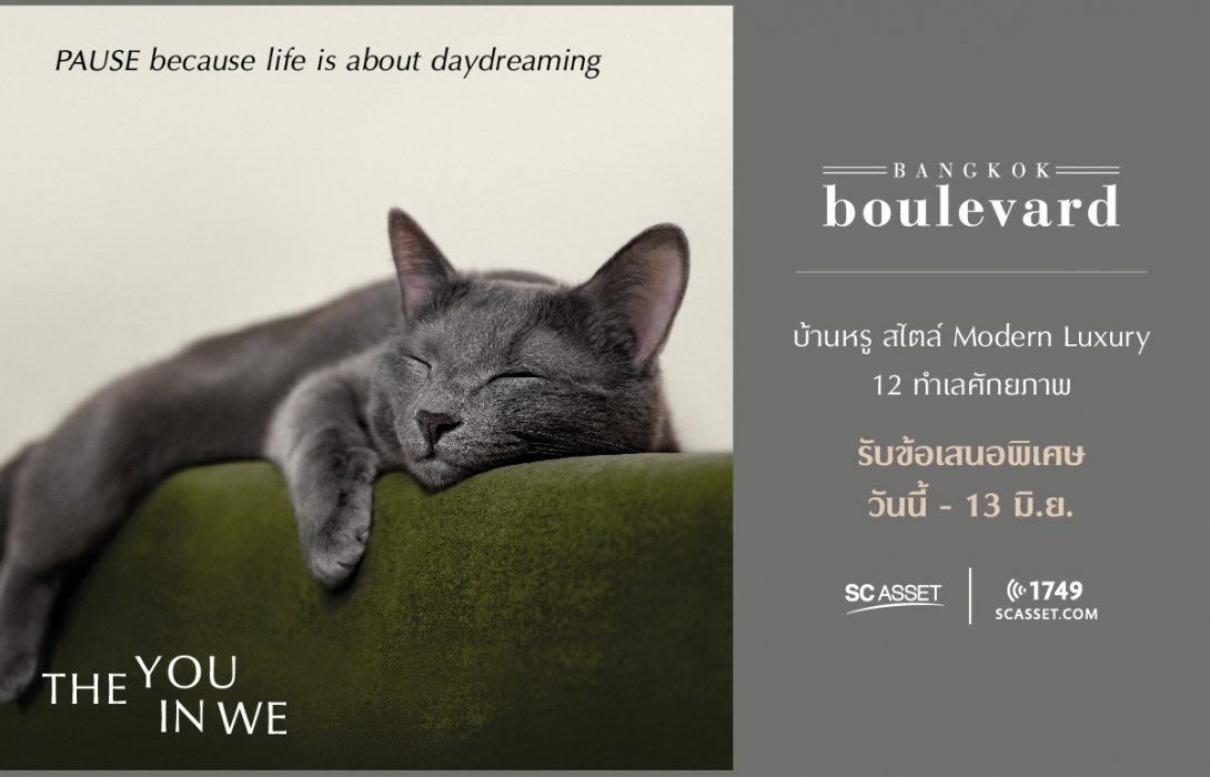 เอสซีฯ  มุ่งสู่แบรนด์บ้านเดี่ยวอันดับ1 ออกแคมเปญ“THE YOU IN WE”