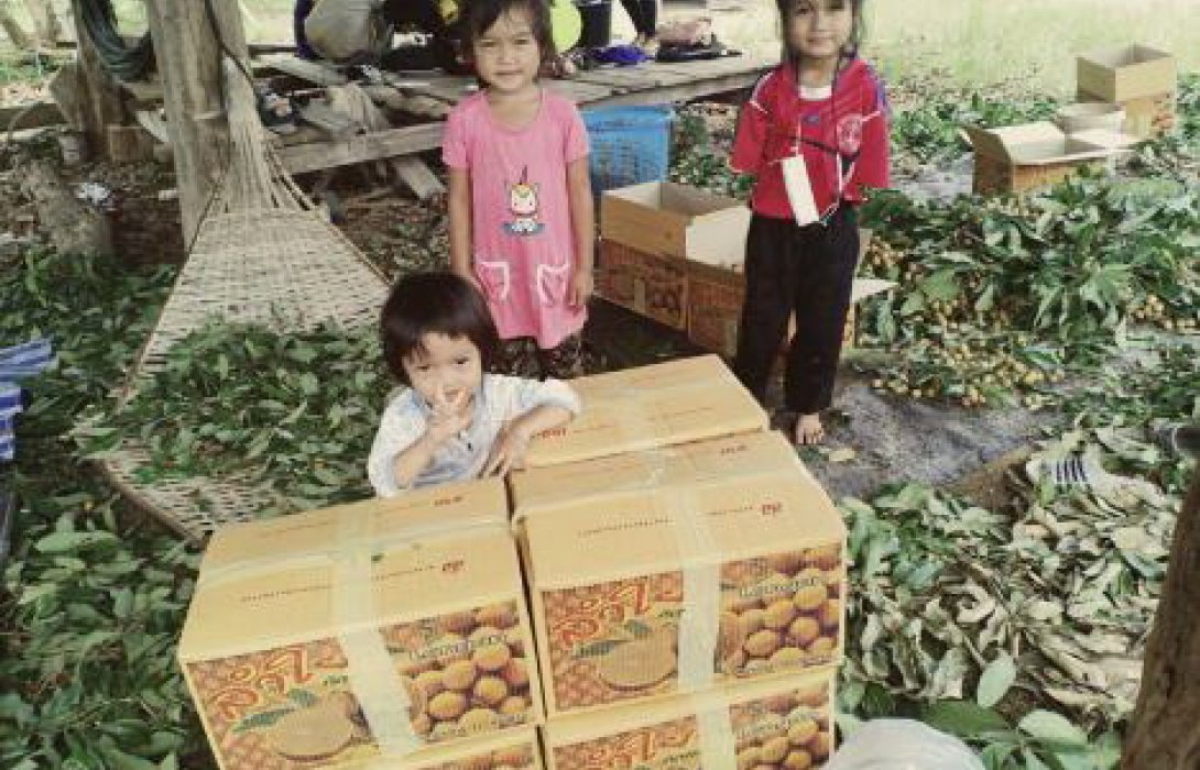 “เศรษฐา”เหมาลำไยจากลำพูน12ตัน เร่งแจกจ่ายลูกบ้าน-ชุมชน-แคมป์คนงาน