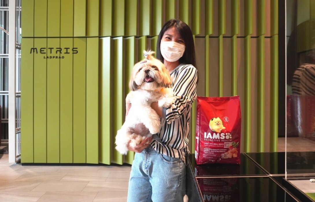 “เมเจอร์ ดีเวลลอปเม้นท์”ตอกย้ำผู้นำคอนโดเลี้ยงสัตว์ได้ ผ่านแคมเปญ“เป็นห่วงน้องนะ” 