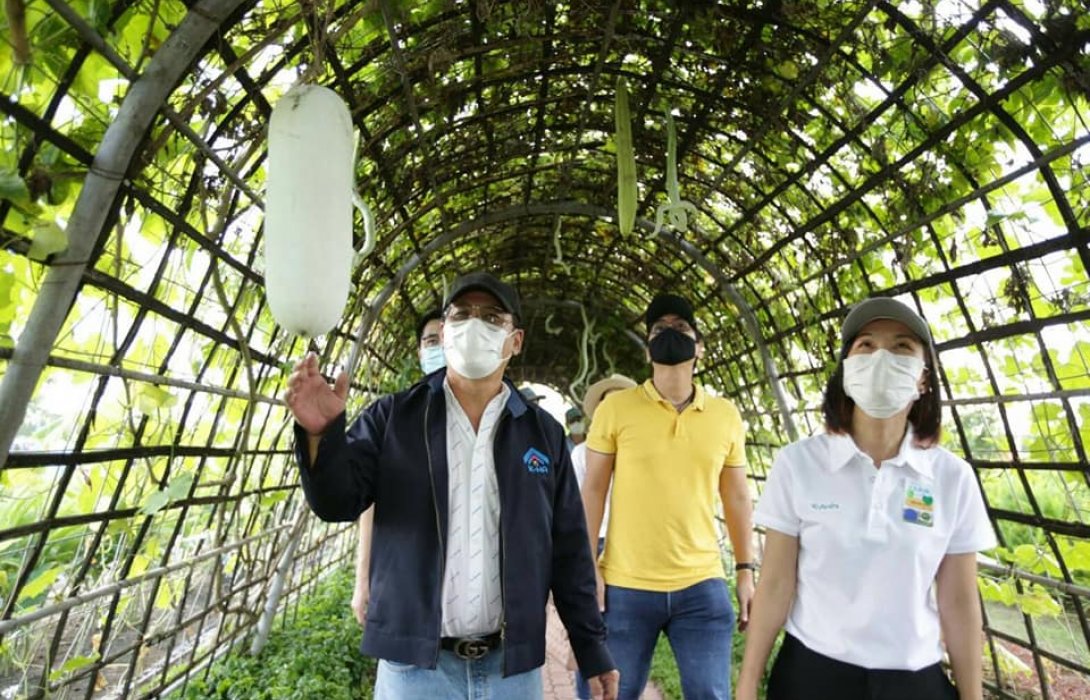 “บมจ.เคหะสุขประชา” นำทฤษฎีเกษตรสมัยใหม่ Smart Farmer สร้างรายได้ให้กับ “บ้านเช่าพร้อมอาชีพ” 100,000 หน่วย 