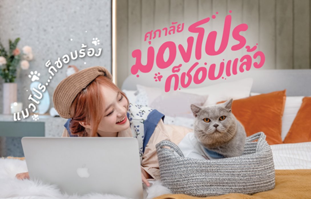 ศุภาลัยปล่อยหมัดเด็ด!! ฮุคสุดท้าย “มองโปรก็ชอบแล้ว แมวโปรก็ชอบร้อง”