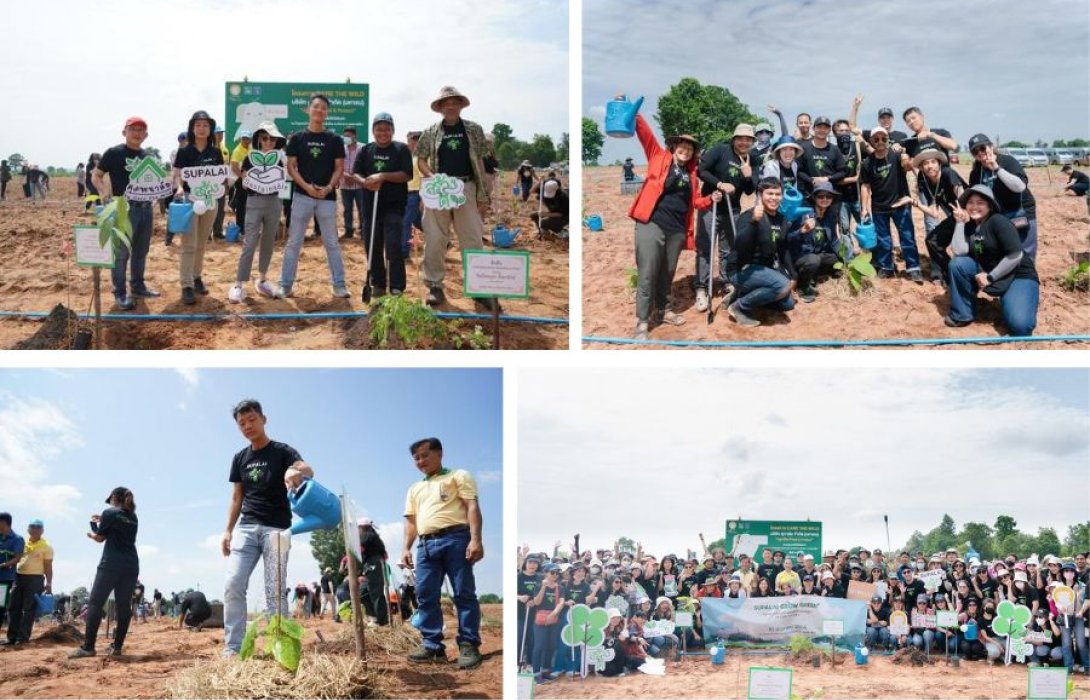 “ศุภาลัย” แท็กทีมพนักงานหัวใจสีเขียว ‘สร้างดี’ ปลูกต้นไม้เพิ่มพื้นที่ป่าชุมชนโคราชต่อเนื่องปีที่ 2