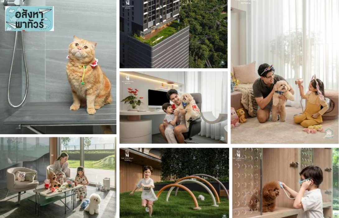 พาชม ‘Whizdom The Forestias Petopia’ คอนโดเพื่อคนรักสัตว์ สร้างเสร็จพร้อมเข้าอยู่ ครบทุกฟังก์ชั่นเพื่อสัตว์เลี้ยง