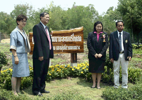 สกว.ปั้นศูนย์วิจัยฯหนุนปลูกมะละกอ (จบ)
